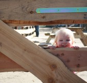 Suspendisse arcu nisl