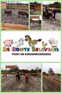 de bonte belevenis collage