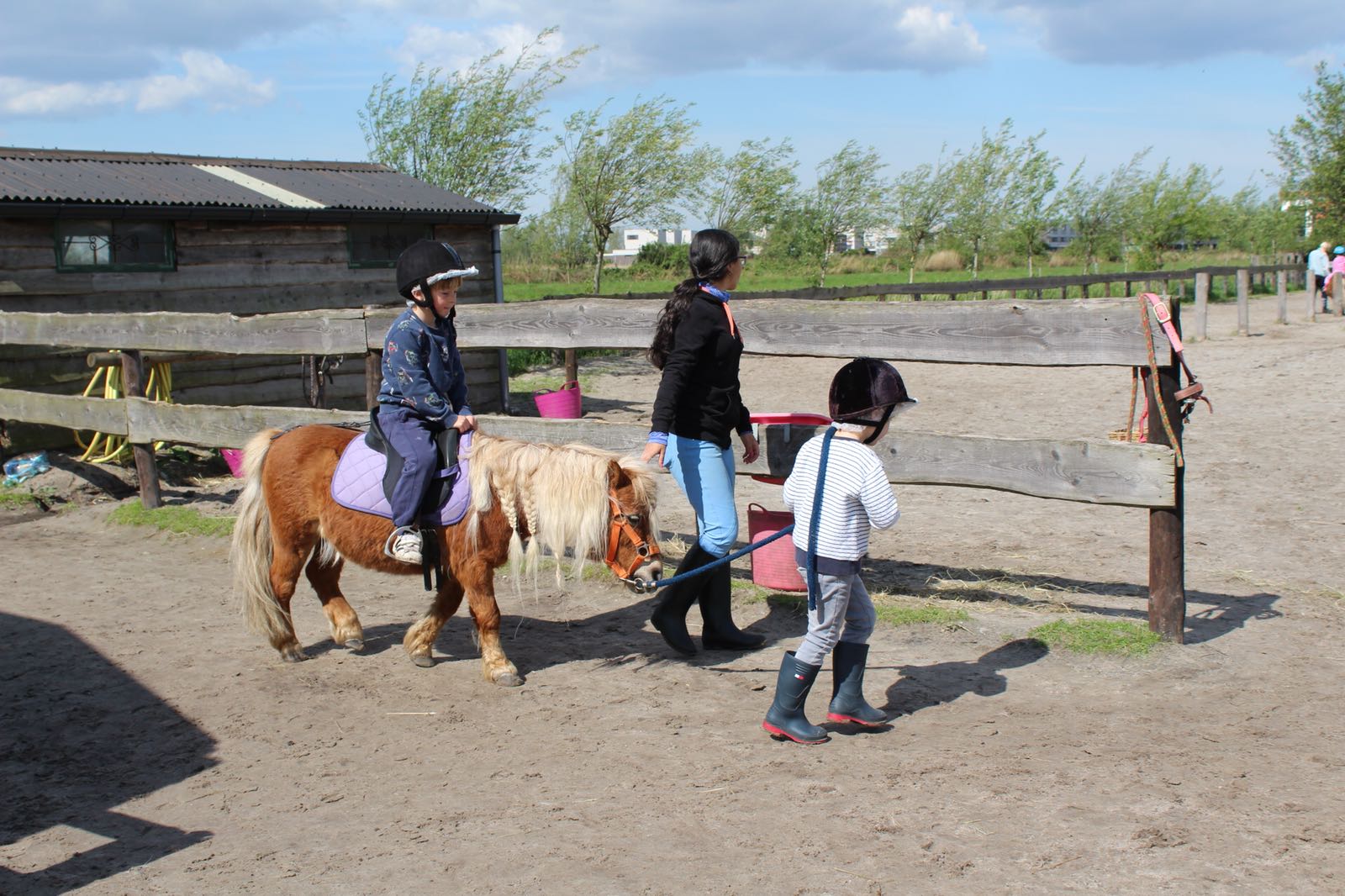 U dient tijdens het rijden op de pony altijd bij uw kind te blijven en u mo...